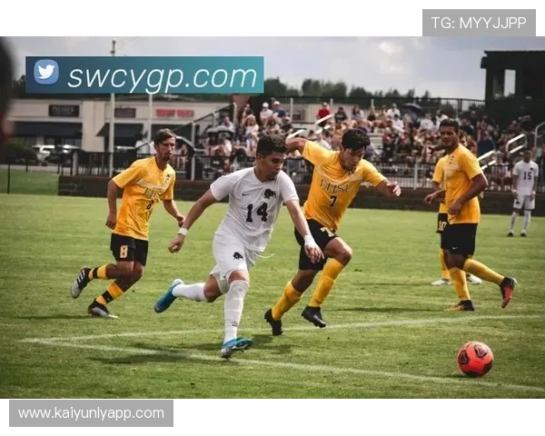 体育app开云：利用开云平台提升体育赛事直播的稳定性与高清体验