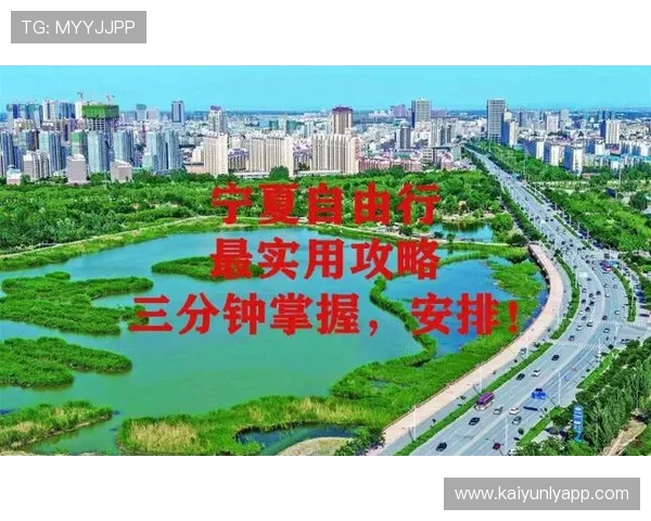 开云体育网站登录入口安全登录技巧，保护个人信息不被泄露的实用建议