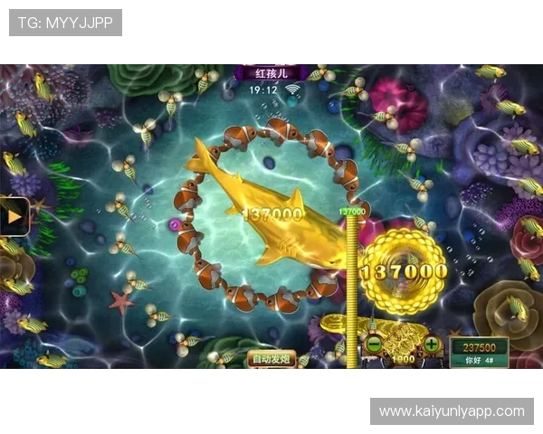 Kaiyun开云安卓版全新上线，丰富多样的游戏玩法满足不同玩家的需求