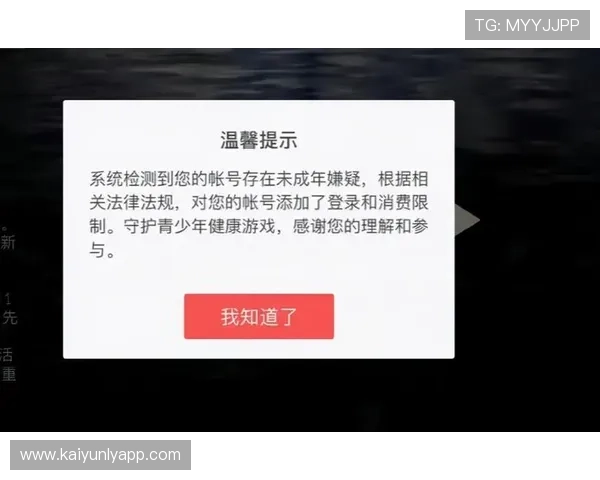 KY体育官网的安全性分析与用户隐私保护措施，确保玩家在官方平台上的游戏体验更加安心