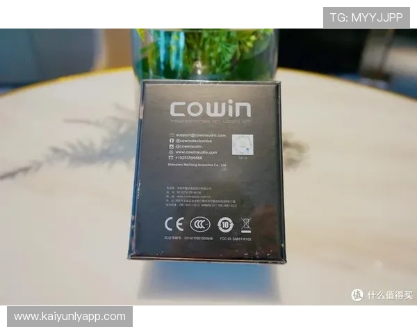 开云KYVIP直营渠道详解如何快速成为VIP尊享特权用户