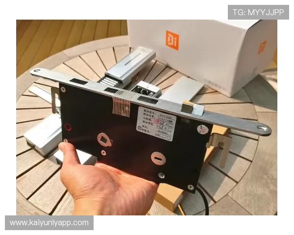 开云app官方入口登录流程详解确保用户快速安全登录账号